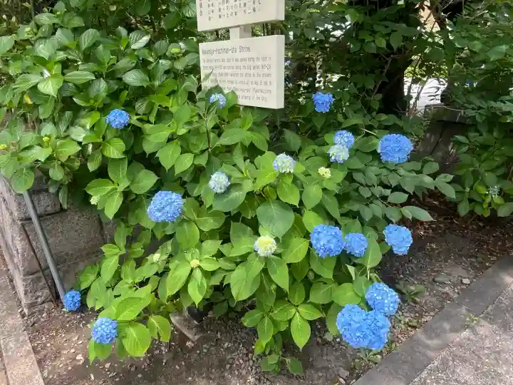 若宮八幡社(愛知県)