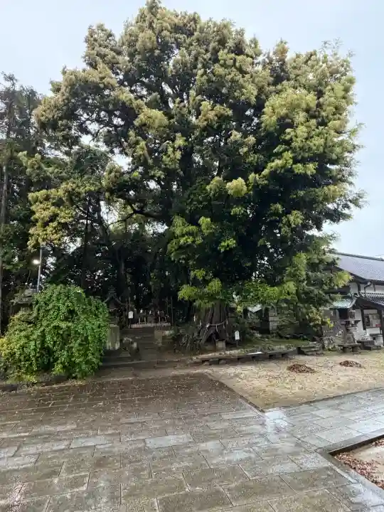 揖夜神社の{uncategorized: "未分類", other: "その他", undefined: "問題あり", building: "その他建物", grave: "お墓", sacred_gate: "鳥居", guardian: "狛犬", statue: "像", buddha: "仏像", history: "歴史", nature: "自然", garden: "庭園", animal: "動物", pagoda: "塔", temizu: "手水舎", mountain_gate: "山門・神門", sanctuary: "本殿・本堂", subordinate: "末社・摂社", art: "芸術", scenery: "景色", jizo: "地蔵", ema: "絵馬", goshuin: "御朱印", omikuji: "おみくじ", items: "授与品その他", amulet: "お守り", goshuincho: "御朱印帳", eats: "食事", festival: "お祭り", votive_dance: "神楽", shichigosan: "七五三参", wedding: "結婚式", experience: "体験その他", initially: "初詣", around: "周辺", anti_infection: "感染症対策"}