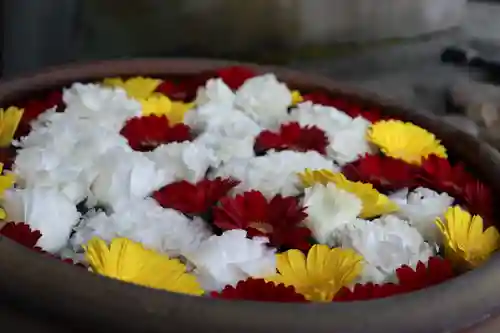 上尾御嶽神社の手水舎