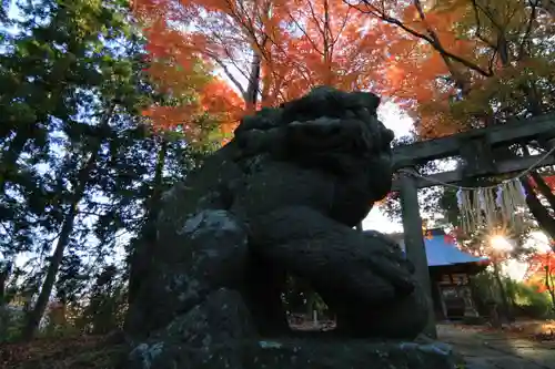 國祖神社の狛犬