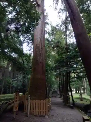 八幡神社（武芸八幡宮）(岐阜県)