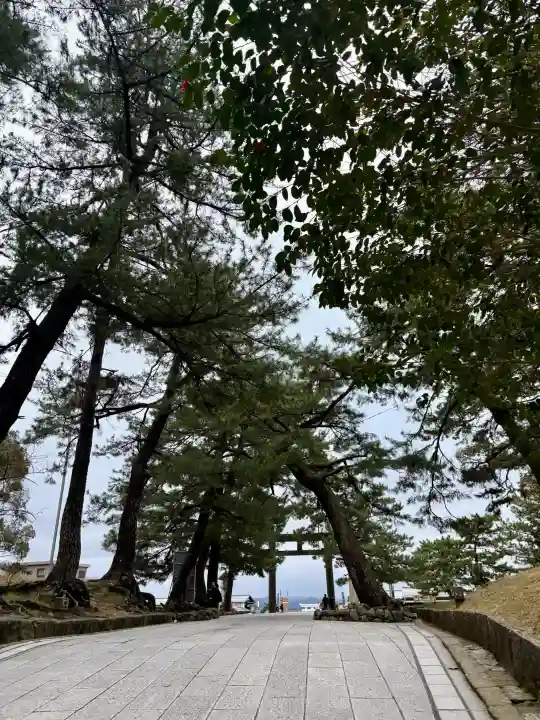 出雲大社の{uncategorized: "未分類", other: "その他", undefined: "問題あり", building: "その他建物", grave: "お墓", sacred_gate: "鳥居", guardian: "狛犬", statue: "像", buddha: "仏像", history: "歴史", nature: "自然", garden: "庭園", animal: "動物", pagoda: "塔", temizu: "手水舎", mountain_gate: "山門・神門", sanctuary: "本殿・本堂", subordinate: "末社・摂社", art: "芸術", scenery: "景色", jizo: "地蔵", ema: "絵馬", goshuin: "御朱印", omikuji: "おみくじ", items: "授与品その他", amulet: "お守り", goshuincho: "御朱印帳", eats: "食事", festival: "お祭り", votive_dance: "神楽", shichigosan: "七五三参", wedding: "結婚式", experience: "体験その他", initially: "初詣", around: "周辺", anti_infection: "感染症対策"}