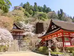 談山神社(奈良県)