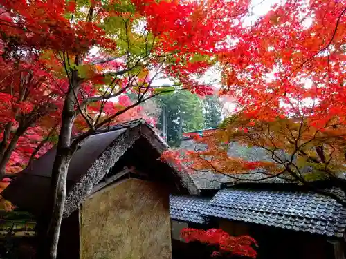 教林坊(滋賀県)