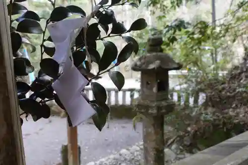 丹生川上神社（中社）の自然