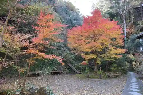 秩父札所三十二番　法性寺の自然