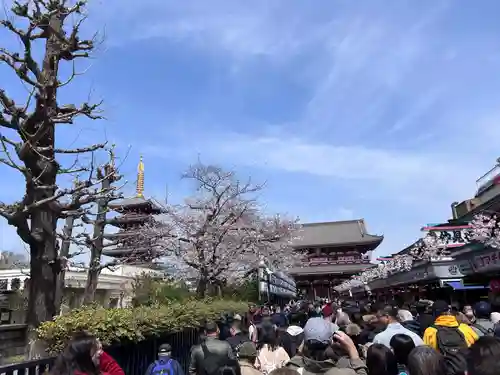 浅草寺(東京都)
