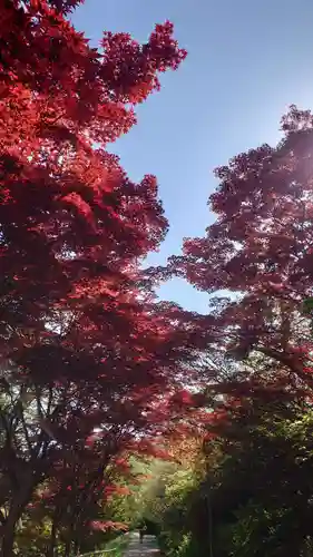 相馬神社の自然