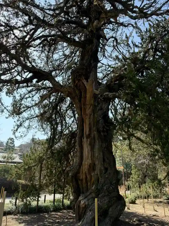 建長寺(神奈川県)