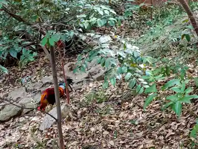 大甕神社(茨城県)