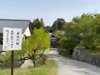 龍泉寺(岡山県)