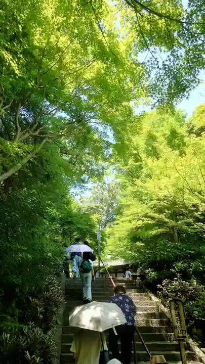 長谷寺(神奈川県)