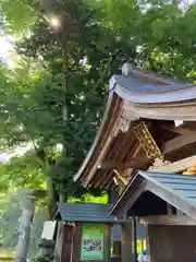 高龍神社(新潟県)