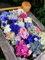 本郷氷川神社(東京都)