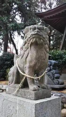 加茂神社の狛犬