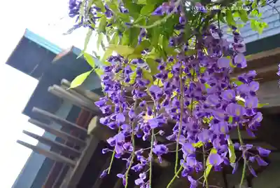 國領神社(東京都)