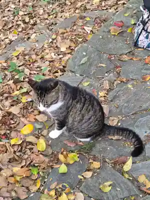 鵜戸神社(大御神社境内社)(宮崎県)
