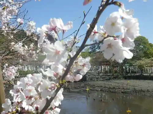 鶴岡八幡宮の自然