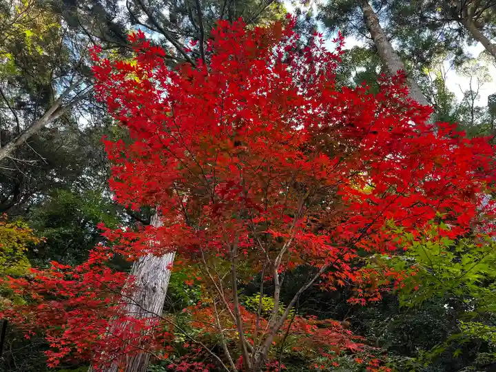 尊永寺(静岡県)