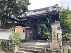 慈照寺（慈照禅寺・銀閣寺）(京都府)