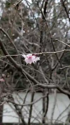 平野神社(京都府)