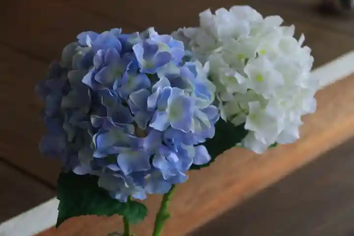 阿久津「田村神社」(郡山市阿久津町)旧社名:伊豆箱根三嶋三社の授与品その他