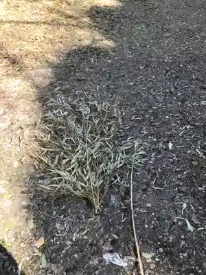 杭全神社(大阪府)