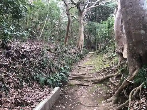 天満神社の自然
