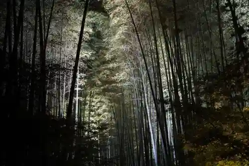 高台寺（高台寿聖禅寺・高臺寺）(京都府)