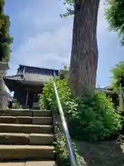 愛宕神社の建物その他