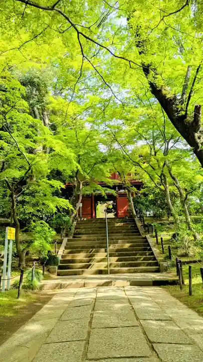 本土寺の山門・神門