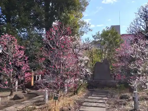 布多天神社(東京都)