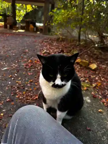 玉野御嶽神社の{uncategorized: "未分類", other: "その他", undefined: "問題あり", building: "その他建物", grave: "お墓", sacred_gate: "鳥居", guardian: "狛犬", statue: "像", buddha: "仏像", history: "歴史", nature: "自然", garden: "庭園", animal: "動物", pagoda: "塔", temizu: "手水舎", mountain_gate: "山門・神門", sanctuary: "本殿・本堂", subordinate: "末社・摂社", art: "芸術", scenery: "景色", jizo: "地蔵", ema: "絵馬", goshuin: "御朱印", omikuji: "おみくじ", items: "授与品その他", amulet: "お守り", goshuincho: "御朱印帳", eats: "食事", festival: "お祭り", votive_dance: "神楽", shichigosan: "七五三参", wedding: "結婚式", experience: "体験その他", initially: "初詣", around: "周辺", anti_infection: "感染症対策"}