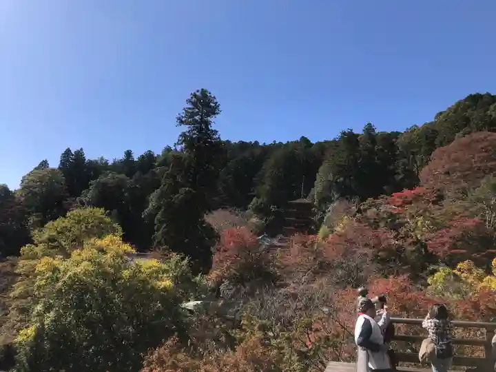長谷寺(奈良県)