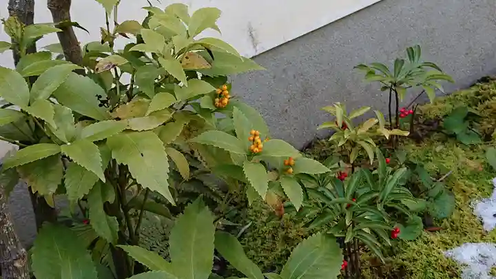 東林院(京都府)