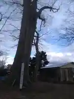 愛宕神社(秋田県)
