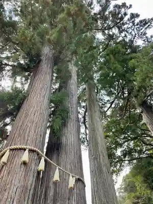 日枝神社(静岡県)