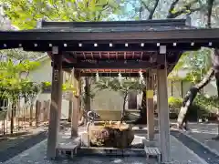 亀戸 香取神社の手水