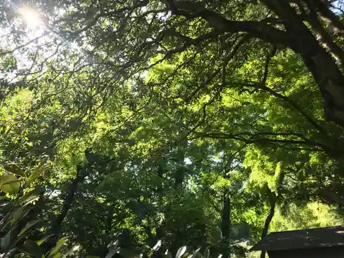 武蔵国分寺の自然