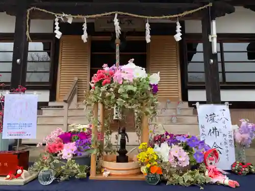 伊勢原 法泉寺の体験その他