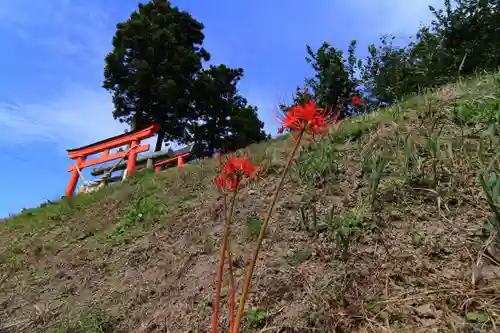 高屋敷稲荷神社の景色