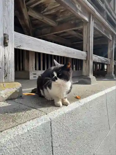 奥氷川神社(東京都)