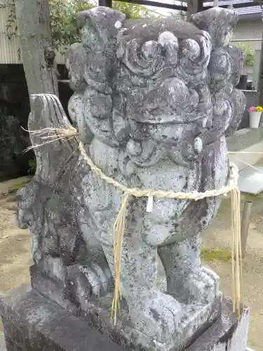 事代主神社の狛犬