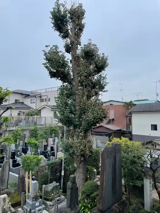 全生庵(東京都)