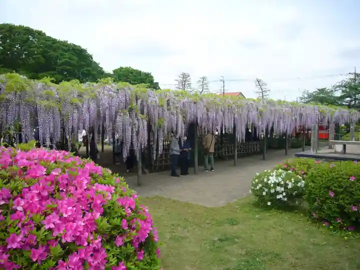 玉敷神社(埼玉県)
