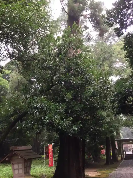 阿射加神社の自然