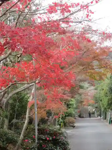 海蔵寺の景色