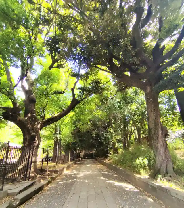 渋谷氷川神社の{uncategorized: "未分類", other: "その他", undefined: "問題あり", building: "その他建物", grave: "お墓", sacred_gate: "鳥居", guardian: "狛犬", statue: "像", buddha: "仏像", history: "歴史", nature: "自然", garden: "庭園", animal: "動物", pagoda: "塔", temizu: "手水舎", mountain_gate: "山門・神門", sanctuary: "本殿・本堂", subordinate: "末社・摂社", art: "芸術", scenery: "景色", jizo: "地蔵", ema: "絵馬", goshuin: "御朱印", omikuji: "おみくじ", items: "授与品その他", amulet: "お守り", goshuincho: "御朱印帳", eats: "食事", festival: "お祭り", votive_dance: "神楽", shichigosan: "七五三参", wedding: "結婚式", experience: "体験その他", initially: "初詣", around: "周辺", anti_infection: "感染症対策"}