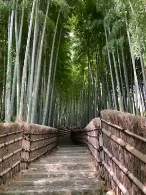 化野念仏寺(京都府)