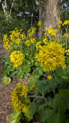 半木神社（賀茂別雷神社境外末社）(京都府)